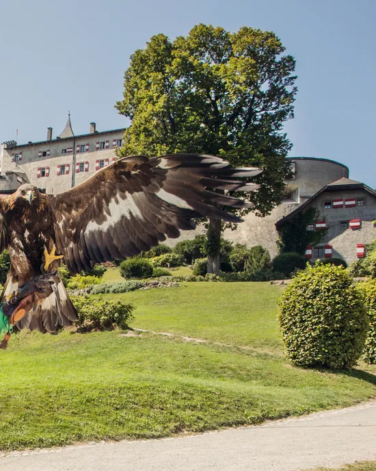 Falconiera con aquila reale davanti a un castello medievale in una giornata di sole